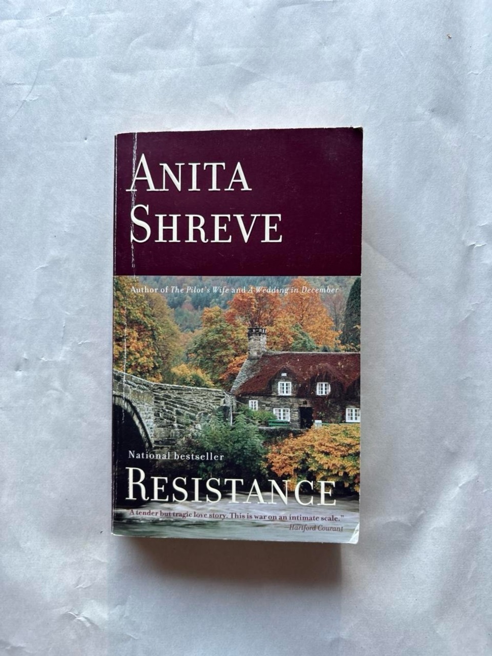 Resistance by Anita Shreve